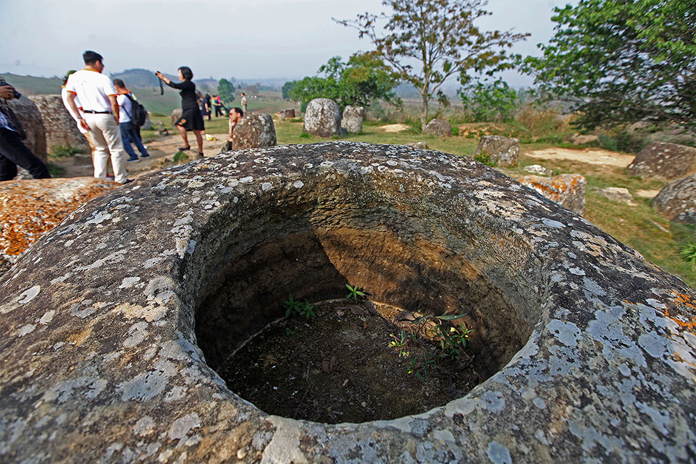 Cánh