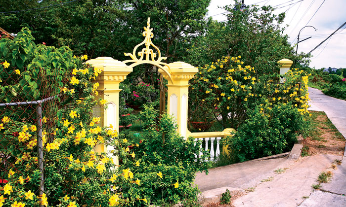 Chuyện
