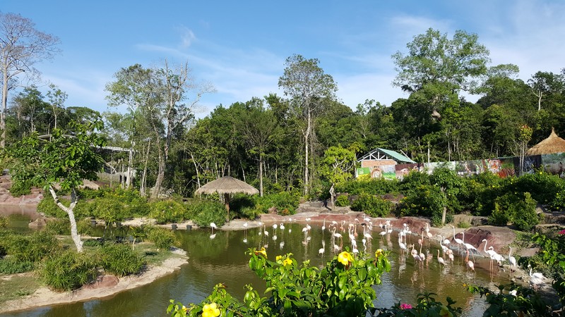 Giải