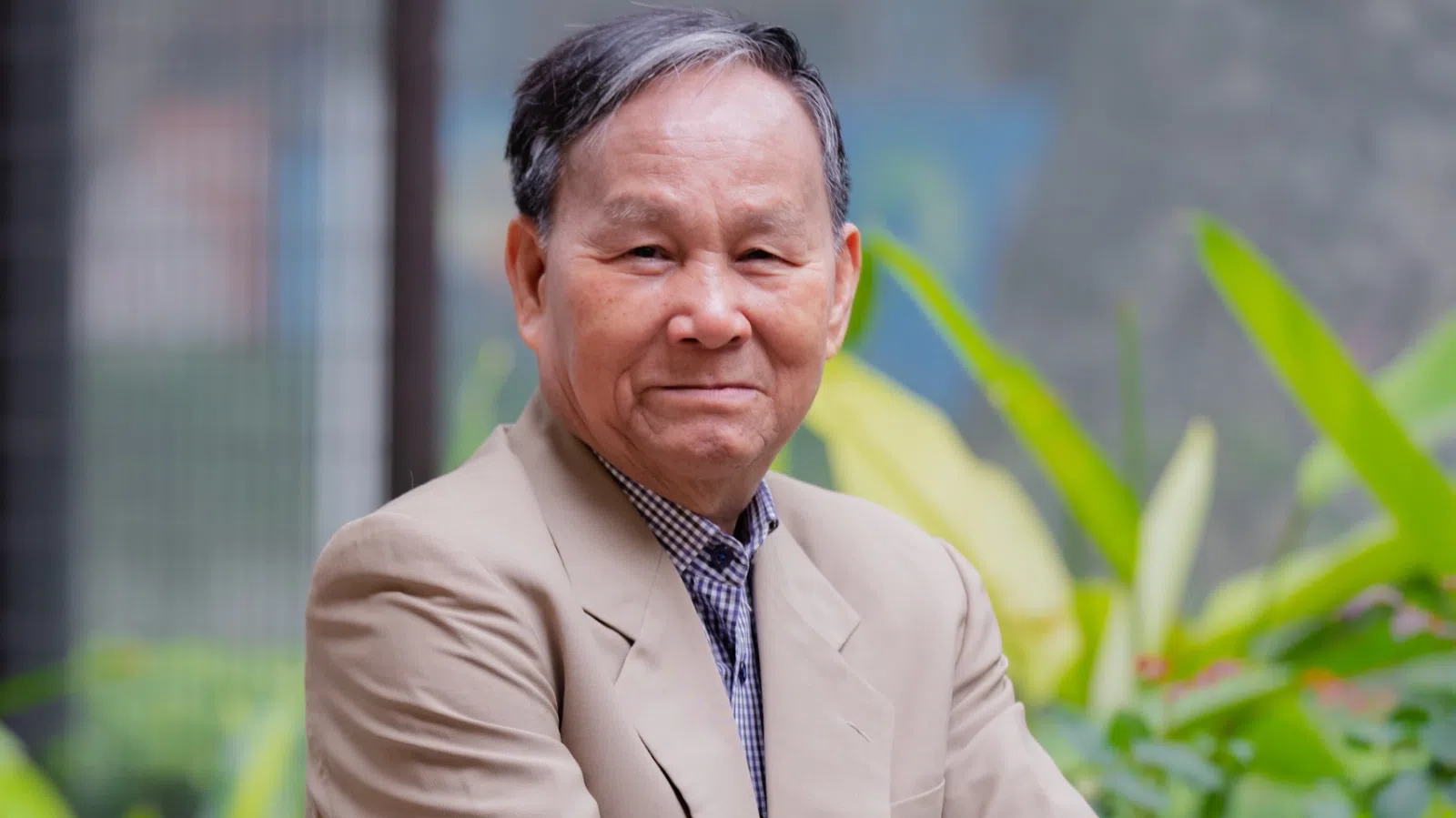 Kiến