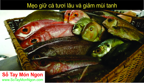 Mẹo