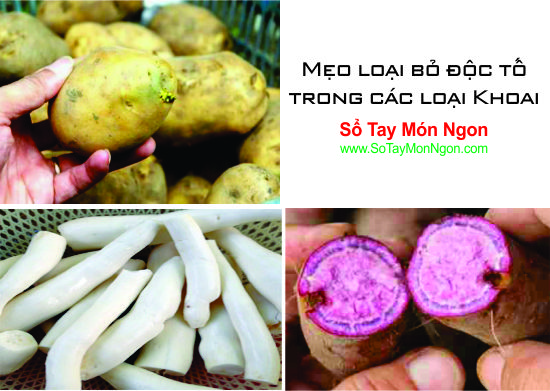 Mẹo