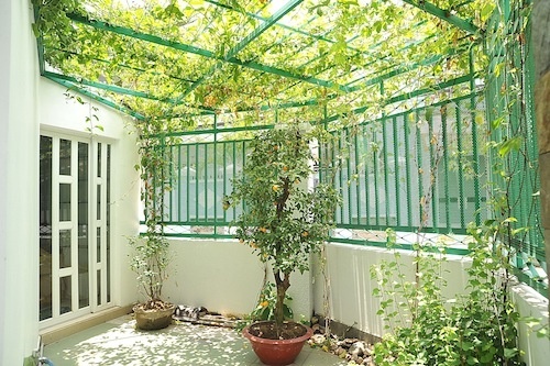 Nguyên
